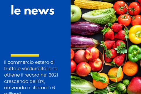 Frutta e verdura italiana: il made in Italy da record nel 2021